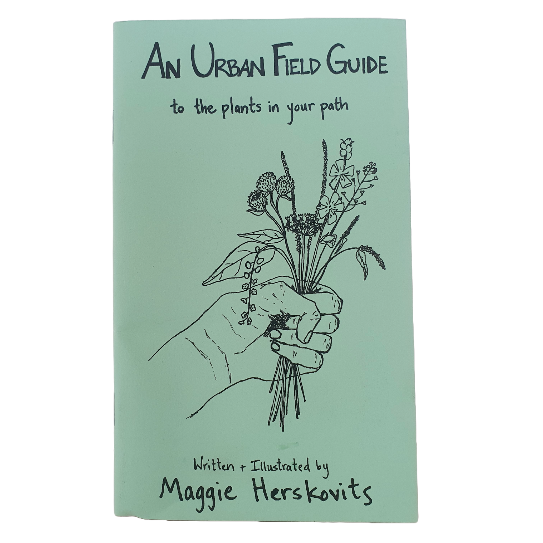An Urban Field Guide to Plants in Your Path