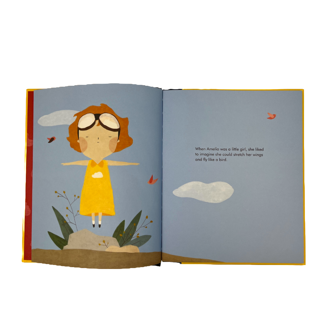 Amelia Earhart Book