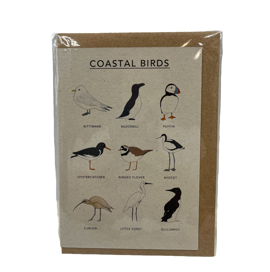 Coastal Birds Card