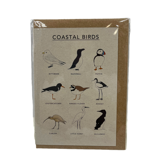 Coastal Birds Card