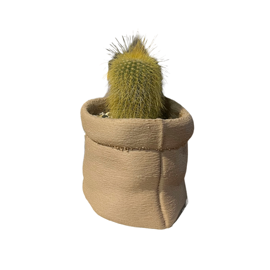 'Hessian' 3D printed plant pot