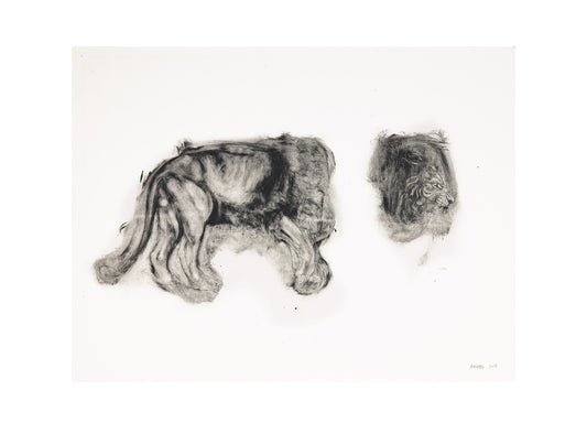 Limited Edition Print by Amartey Golding - Lion