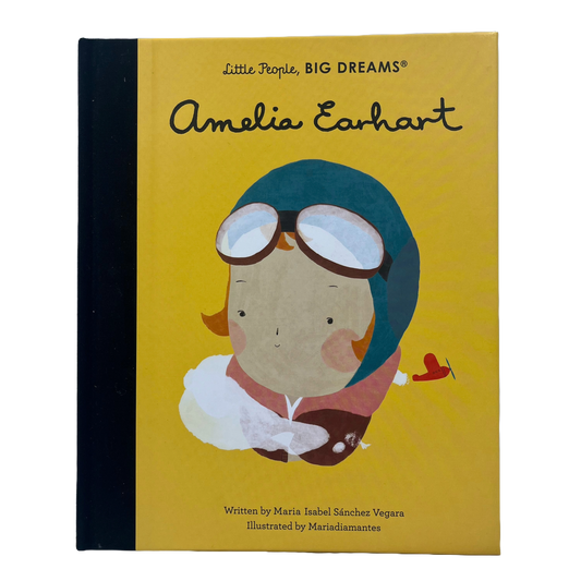 Amelia Earhart Book